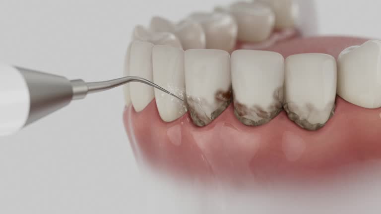 Reliable Dental contractor in Barclay, NJ by Dentist Open Now